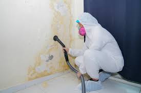 Best Attic Mold Removal  in Barron, WI